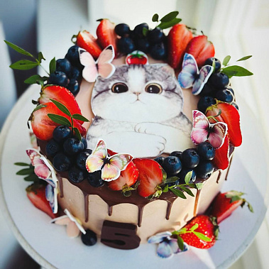 Торт "Котенок" купить - серов.сладкоежкин.рф